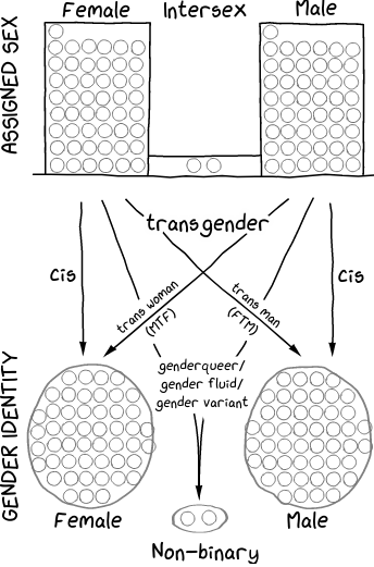Gender notes image