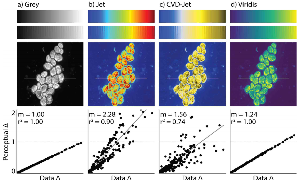 Jet is [not percieved as accurately](https://arxiv.org/pdf/1712.01662.pdf) as greyscale or Viridis, particularly by Colour Vision Deficient (CVD) readers.